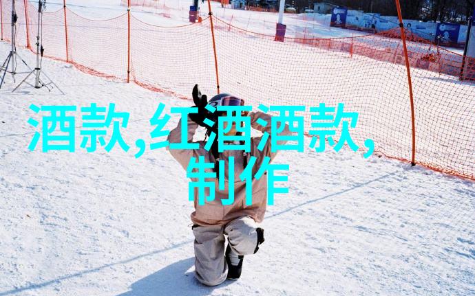 地方党政领导资料库的重要性与实践应用