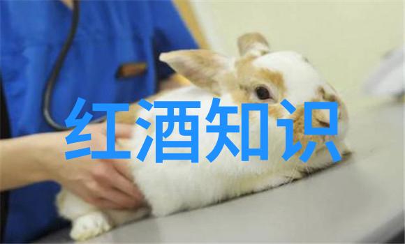 探秘周边上海那些隐藏的省份旅游宝藏有哪些