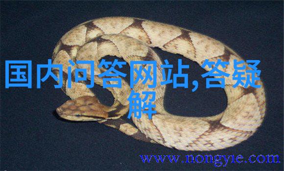 从废墟到复原圓明園重建與保護工作概述