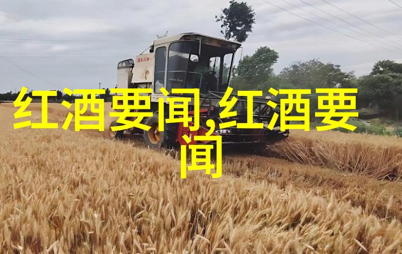 在寻找宁静之地时杭州市区与其它景点推荐何处好走动