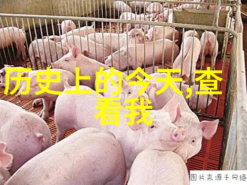中国历史上的伟人孔子曹操李白孙悟空