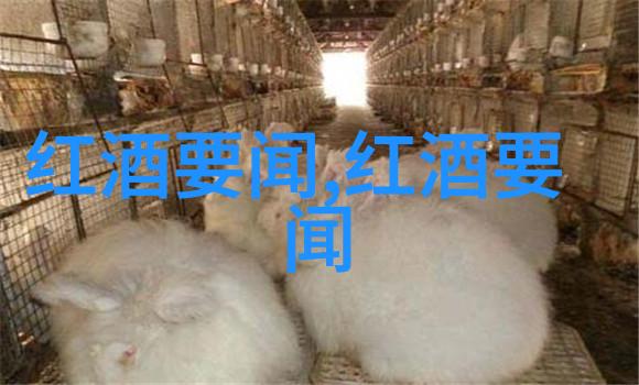 葡萄酒之乡探索世界各地的酿酒葡萄产区秘密