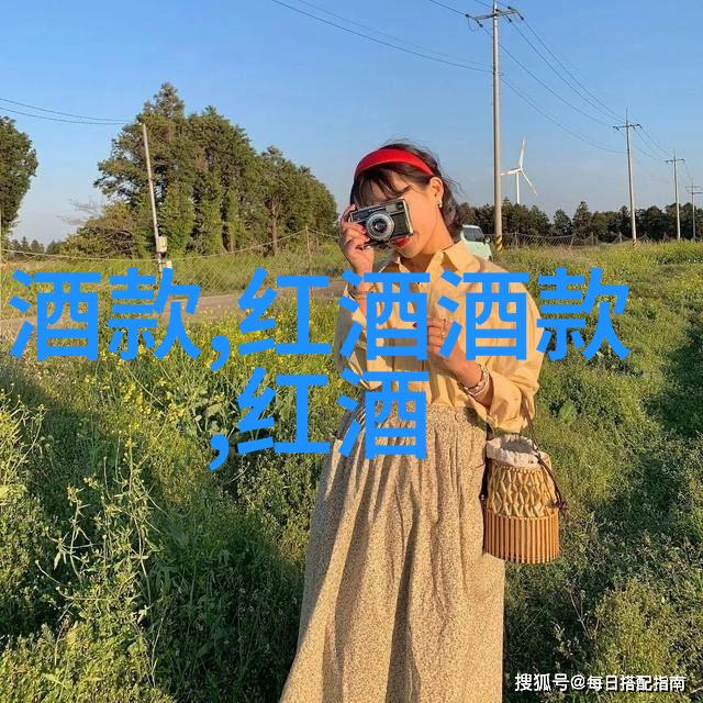 酒香满径探索当代社会中酒文化的价值与影响