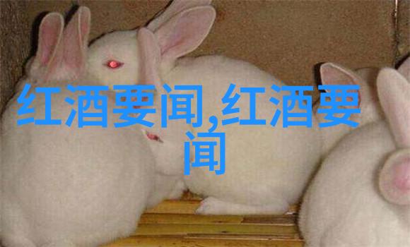 清晨降温秋日初醒的轻柔凉意