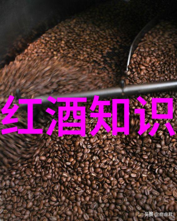 姜可全文免费阅读无弹窗大结局揭秘爱情与成长的精彩篇章