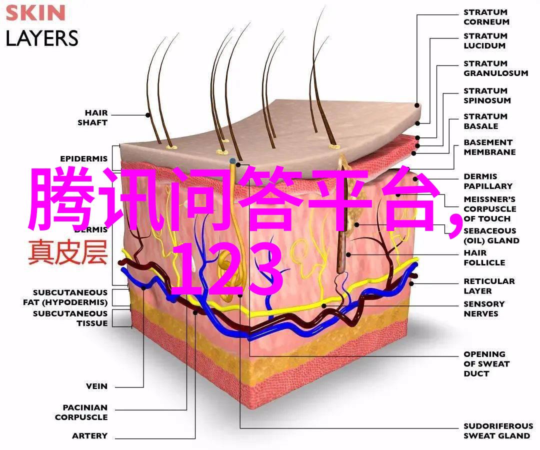 绚烂的玫瑰园揭秘这千姿百态的花中佳人
