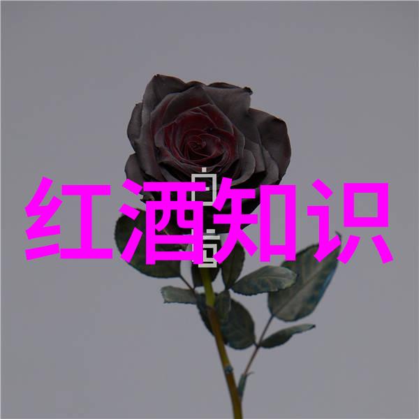金钱的秘密花园爱藏钱币的探索之旅