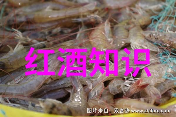 时代楷模人物素材我心中的英雄那些让人感动的身影