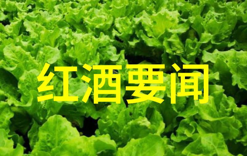四方堂绘里子