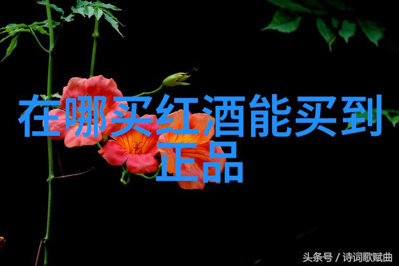 超萌少女Q版日常小可的卡通冒险