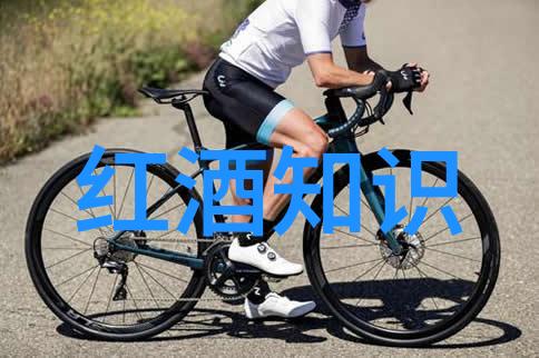 历史的巨人十大改变世界的人物故事伟大的领袖科学家与艺术家