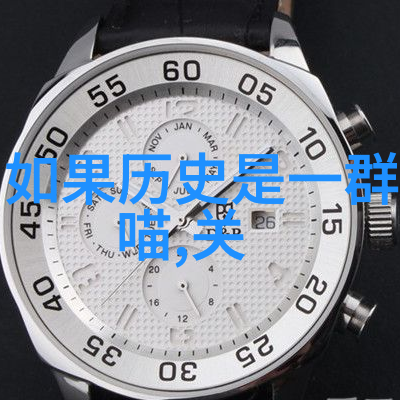 历史的长廊一群喵声中的时光之旅