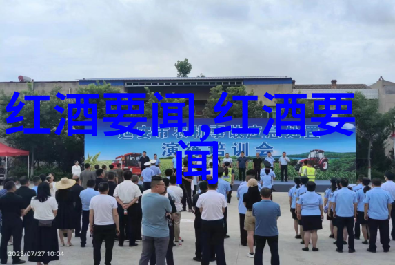 探寻巴以冲突的历史根源一场古老土地与民族命运的较量
