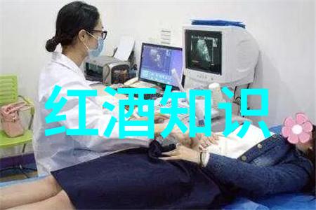 科技潮流未来展望科技IT类杂誌在现代收藏中的地位与价格走势分析