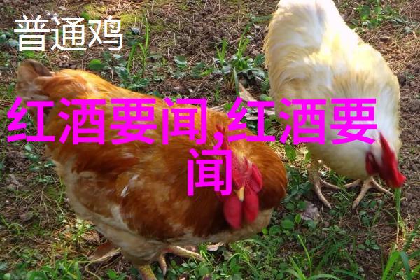 如何在有限的预算下让这次两人的云南之旅难忘