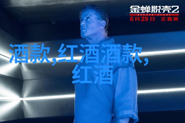 探索千年辉煌陕西历史博物馆的文化瑰宝与历史秘密