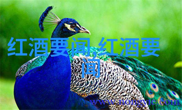 了解更多关于你的宠物深度探究不同类型家的共同点与差异