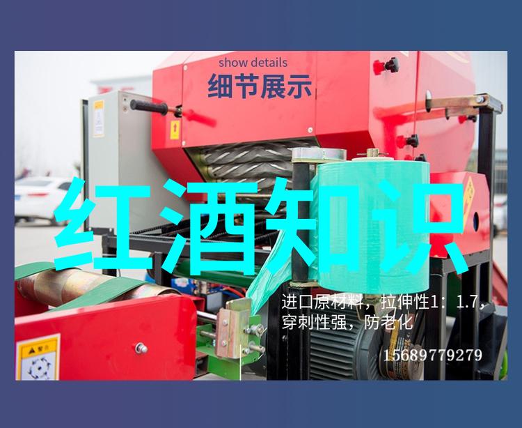 猫咪品种价格排名-全球宠物市场上最受欢迎的猫咪类型及其价格走向