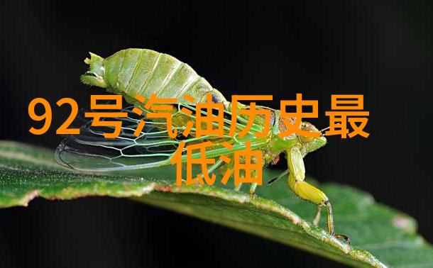 历史天气查询绿维特利纳下起了什么雨奥地利葡萄酒的味道又在变化中...