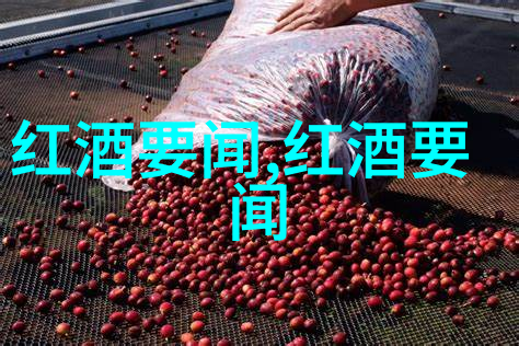 探秘猫界的多样性揭开100多种猫科动物的神秘面纱