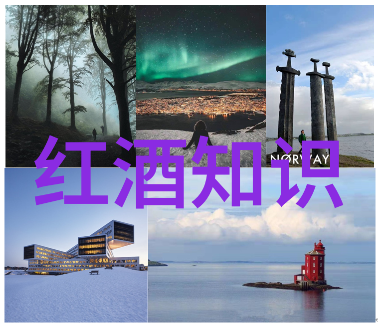 阿根廷门多萨产区葡萄酒阿根廷门多萨地区的葡萄酒生产