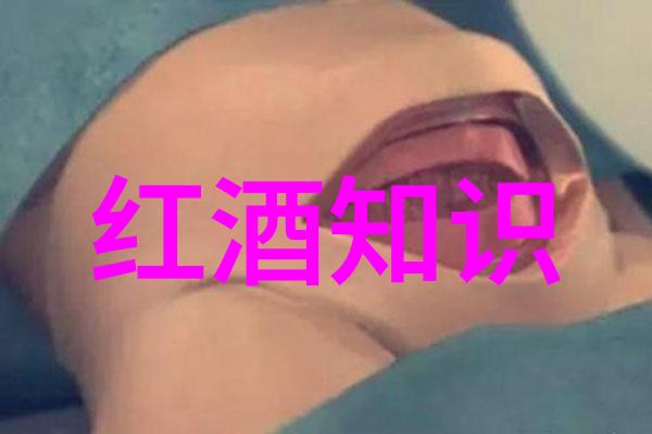 水乡风光古运河之旅揭秘嘉定县的迷人景色