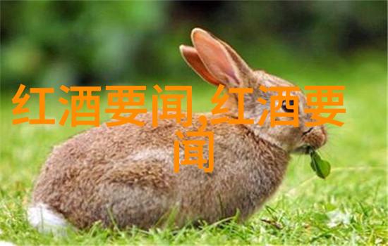 玫瑰花中的珍珠了解桑娇维塞葡萄酒的魅力