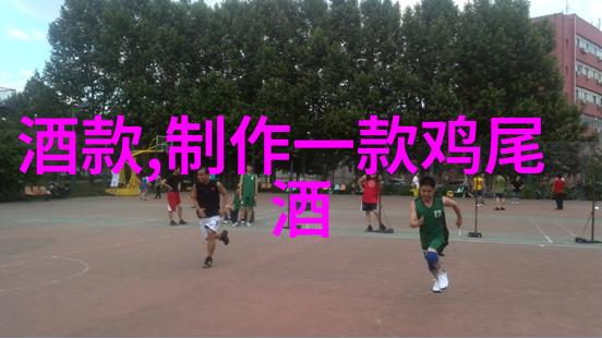 辽金元三家政权对外扩张战略比较研究