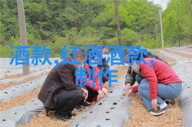 猫的种类介绍及图片探秘这些迷人的小精灵