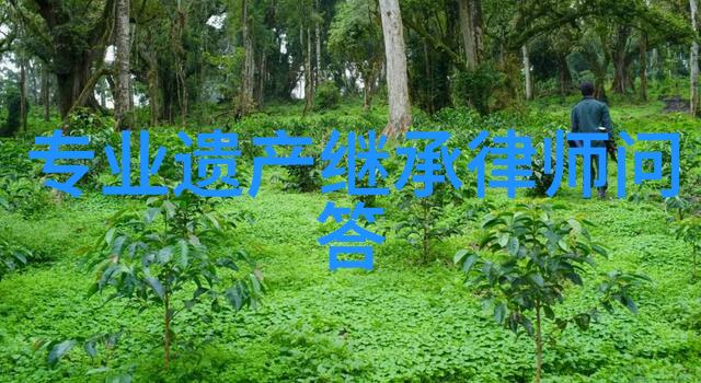 在梦幻庄园中种植什么花朵才能让夜晚绽放璀璨的光芒