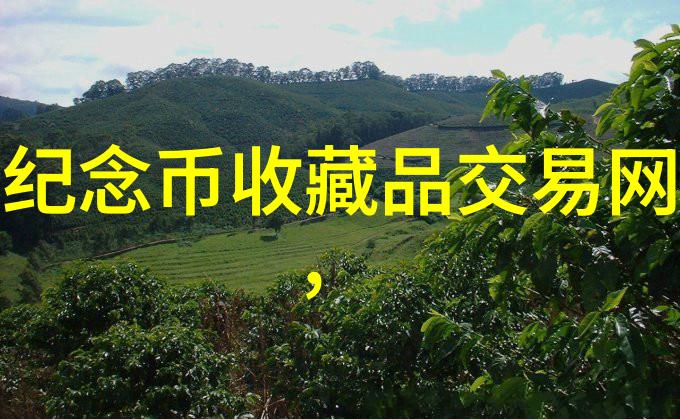 猫咪图片大全大图-柔软的触感探索最美猫咪图片大全大图