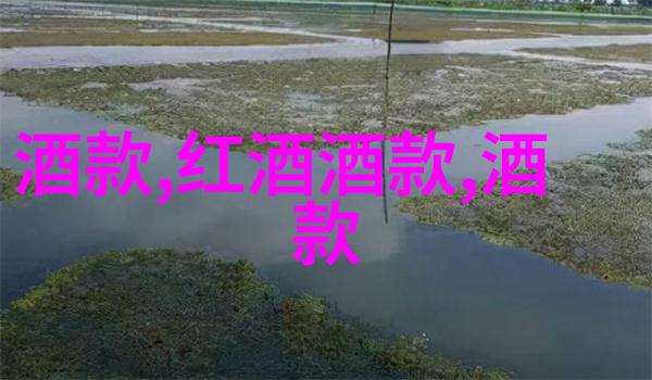 重返过去体验旧日庄园生活中的传统娱乐活动