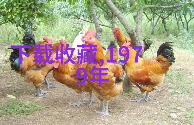 知识的海洋与疑惑的礁石问答知识库的反差篇