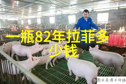 法国两大红酒产区我在波尔多和布的葡萄之旅品味法国红酒的双重魅力