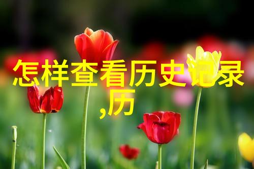 超级英雄的日常揭秘masked crusader的洗衣机困境