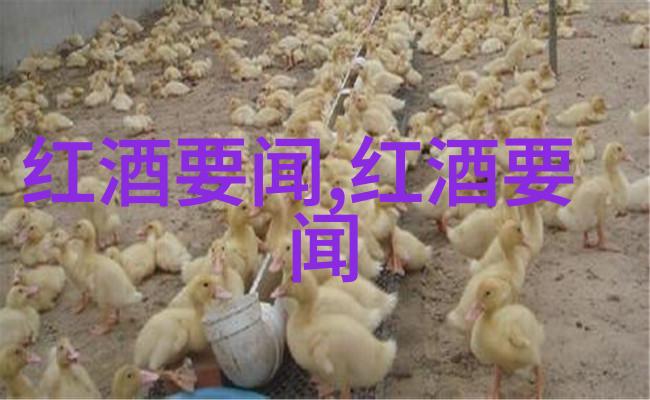 法国葡萄酒法定产区品味历史与地理的醇香