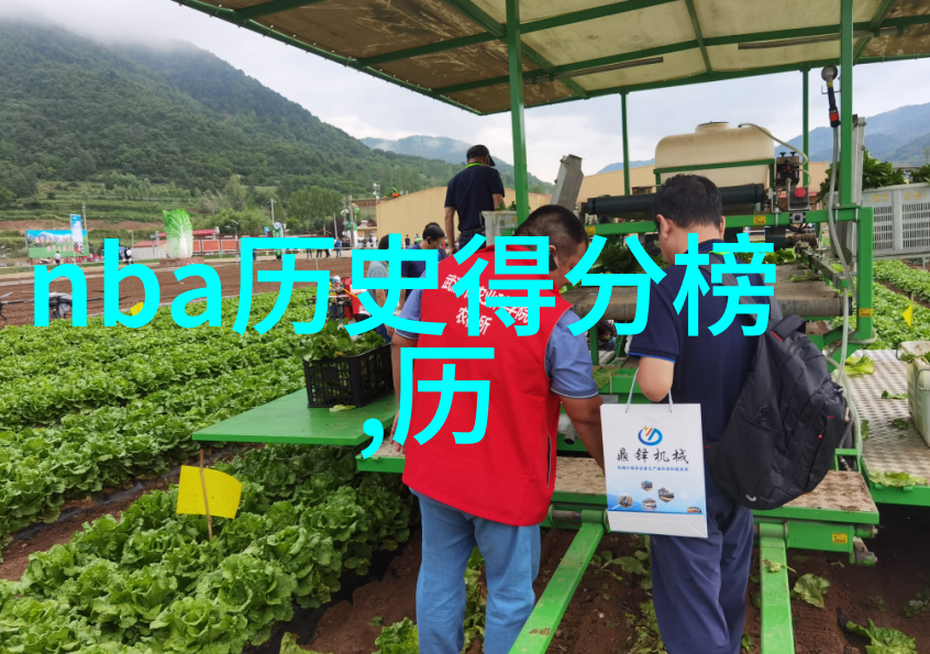 葡萄酒文化-品味时光深入探索葡萄酒文化的奥秘