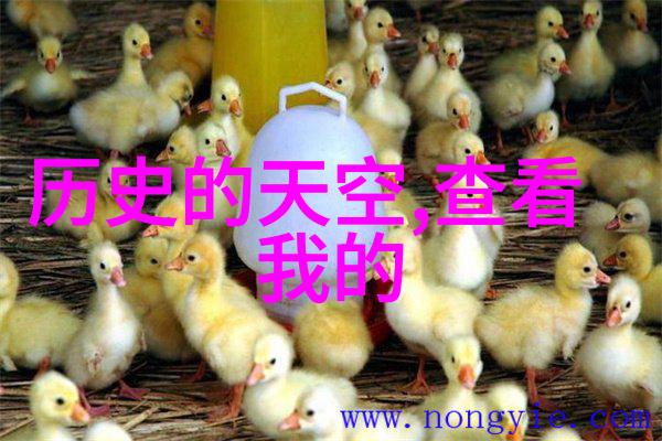 魔幻森林中的舞动