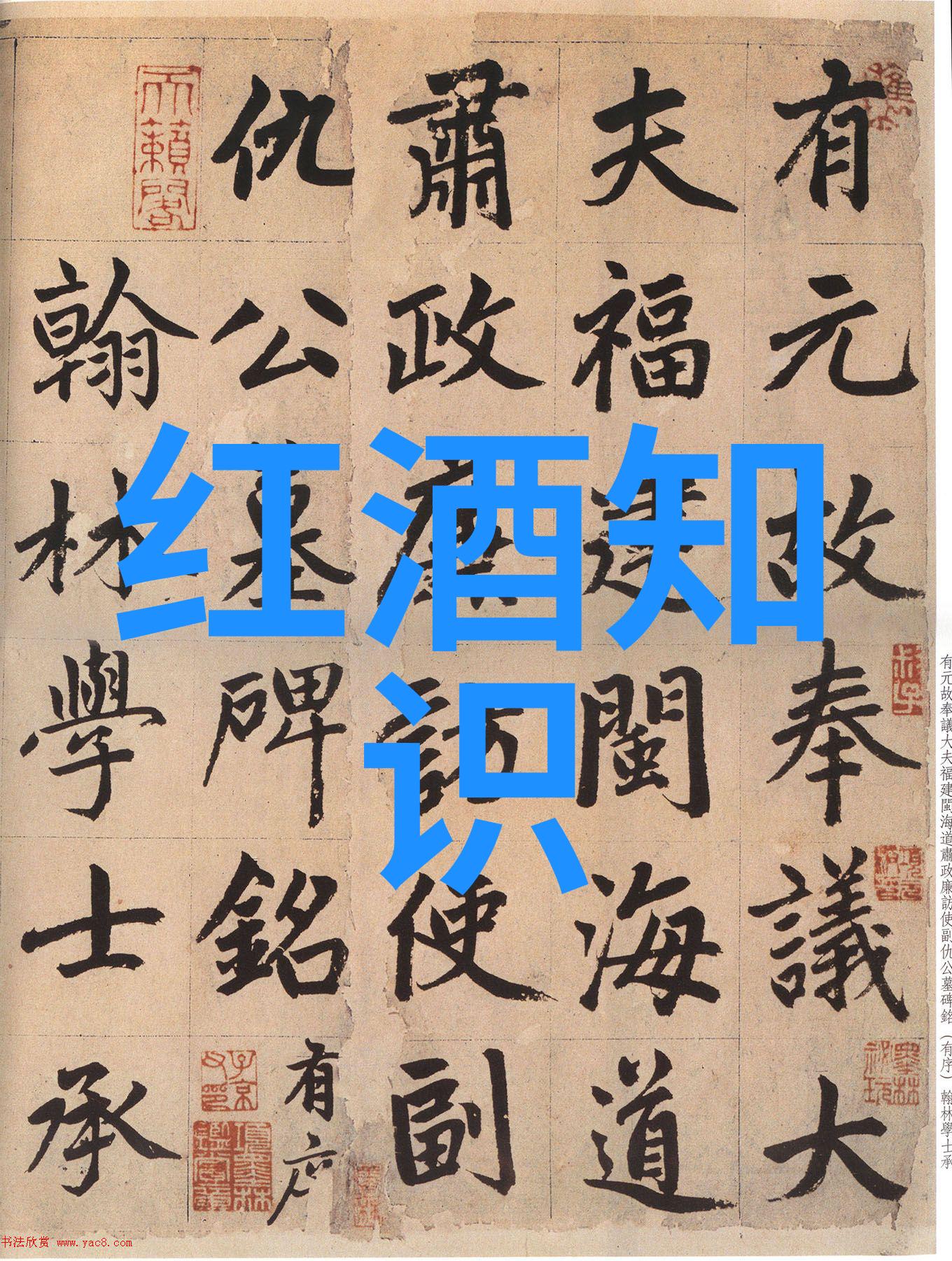 二指探洞感觉要喷了视频软件我是如何用两根手指让视频软件崩溃的