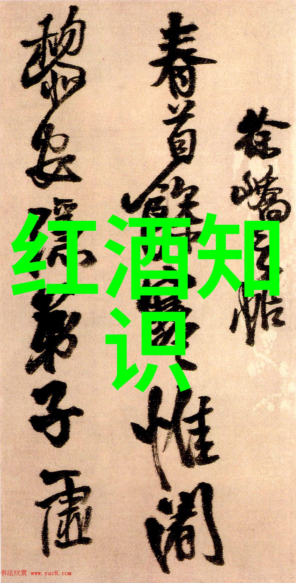 非洲葡萄酒的黄金时刻探索新兴产区的魅力
