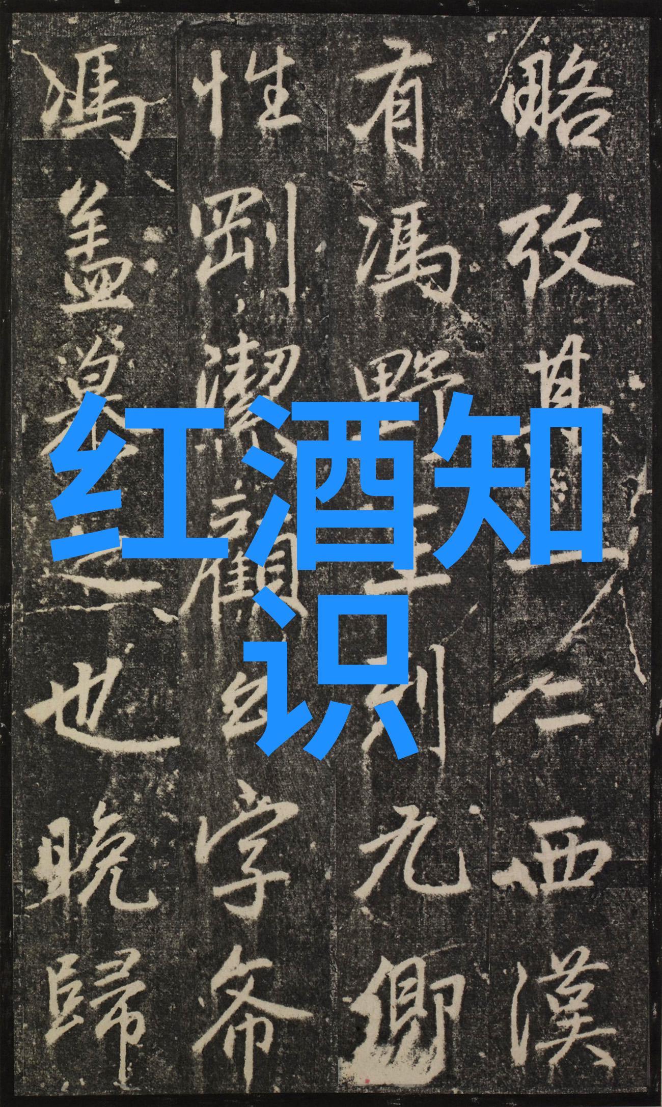 探索过去揭秘7天历史记录的奥秘