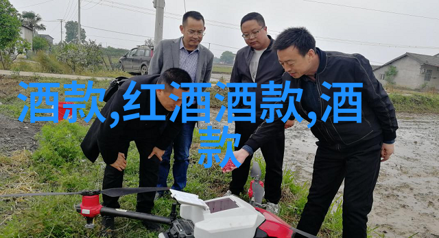 360度全方位快问快答系统解锁效率与智慧的双刃剑