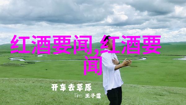 回顾时光探索过去庄园游戏的魅力