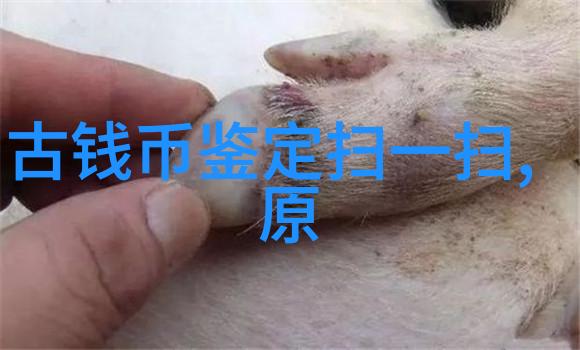 传言中的不速之客是怎样进入庄园的