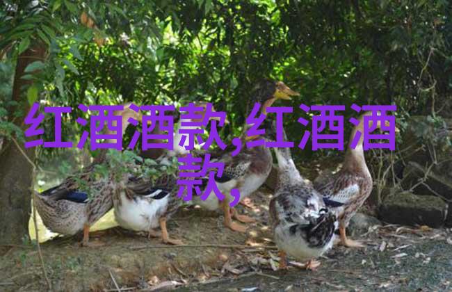 葡萄酒知识分享品鉴技巧与风味解析