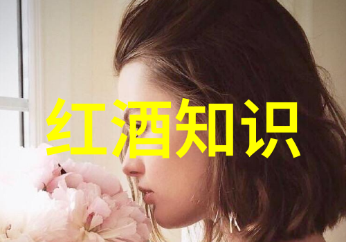 红酒的内涵品一杯懂千言我是如何学会爱上红酒的