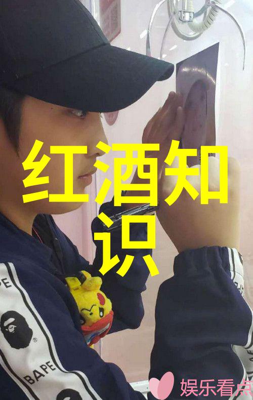 葡萄酒之乡醉心中国的美酒篇章
