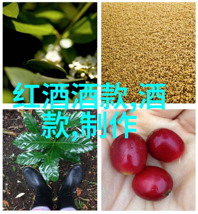玉米品种简介哪些神奇的品种让你吃惊又兴奋