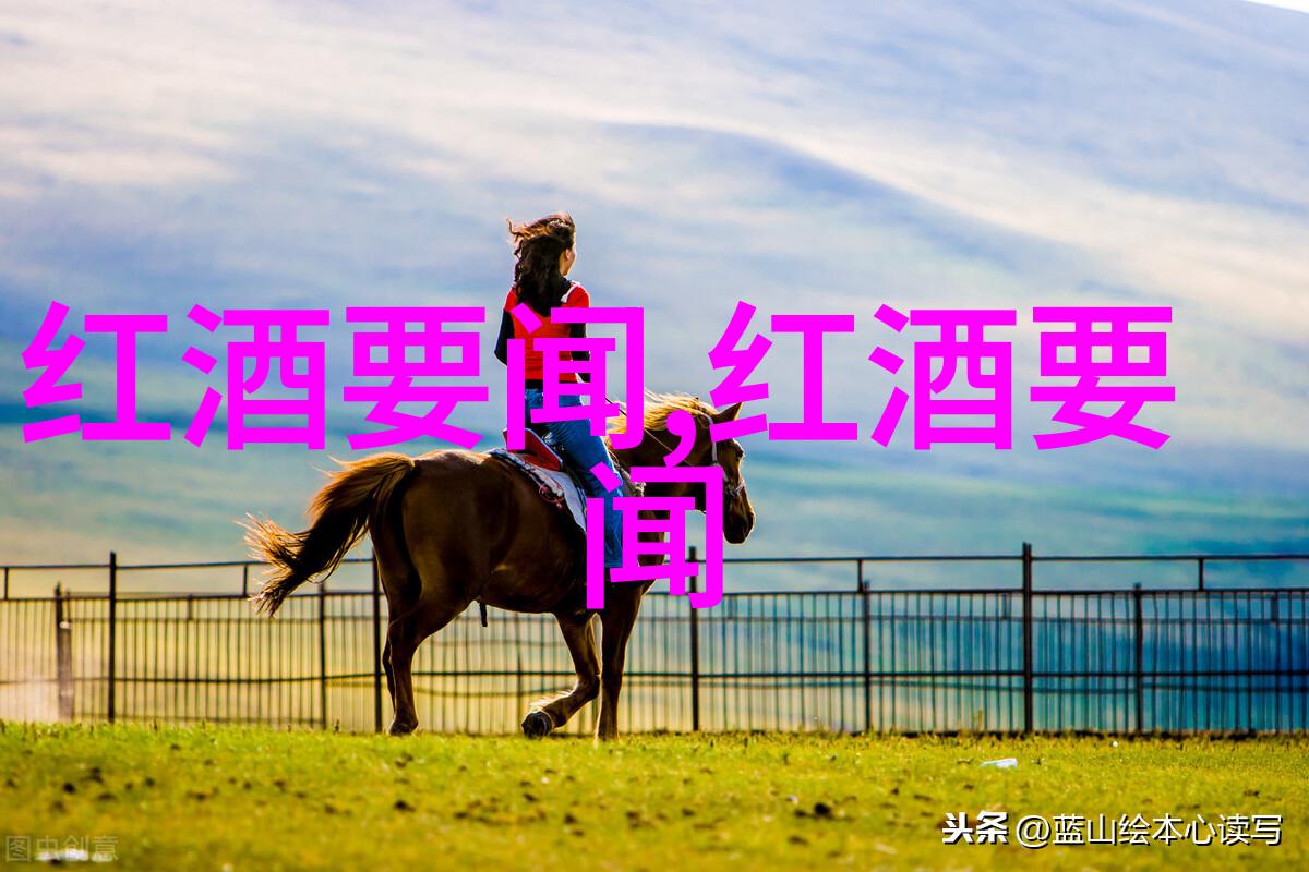 出差旅行2对1-双人行李一份巧妙探索出差旅行中2对1的生活小技巧