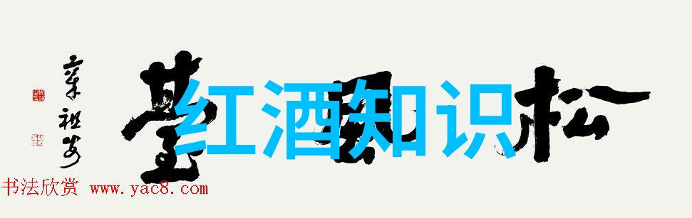 猫品种美短剔透银河的夜空守望者